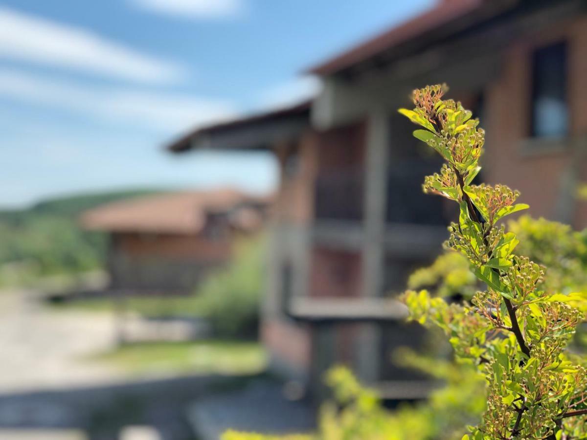 Hotel Pietrapanna Calvello ภายนอก รูปภาพ