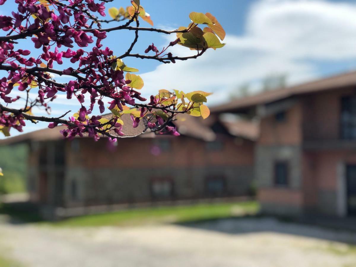 Hotel Pietrapanna Calvello ภายนอก รูปภาพ